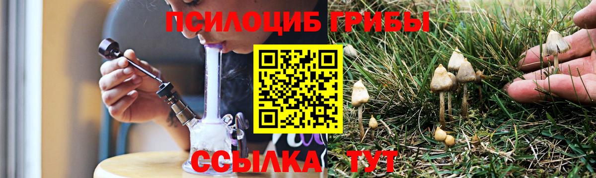 Галлюциногенные грибы GOLDEN TEACHER Копейск